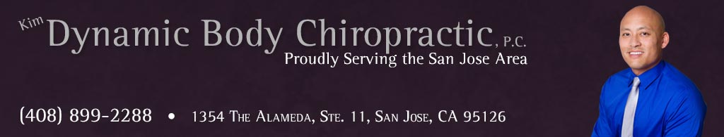 chiropractor san jose