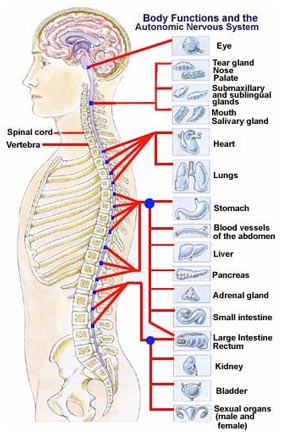 hypertension - high blood pressure